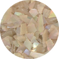 取扱終了 ピカエース シェル・グレイン M #320 ナチュラル