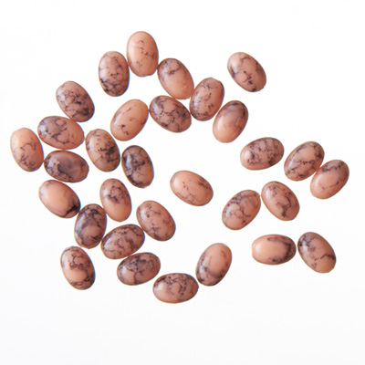 取扱終了 Nail Labo ターコイズオーバル ピーチ 4×6mm 30粒