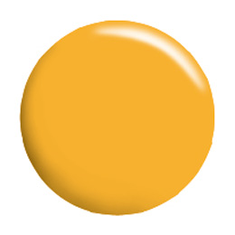 CalGel カラージェル 4g YE02 イエロー