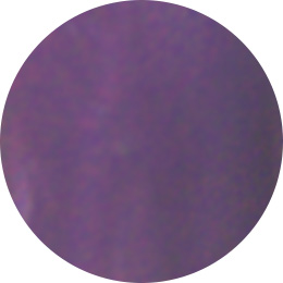 Gelly Fit カラージェルポリッシュ 10ml C47 | Nail Labo Online Shop