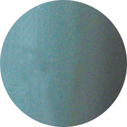 Gelly Fit カラージェルポリッシュ 11ml FW147 | Nail Labo Online