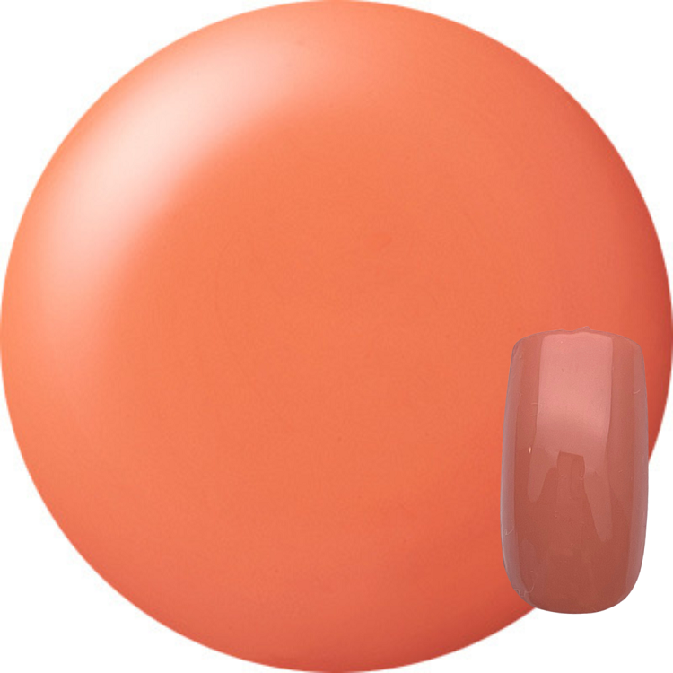 KOKOIST（ココイスト） | Nail Labo Online Shop ネイルラボ