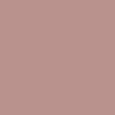noiro ネイルカラー スタンダードライン 11ml S 004 melancholic taupe