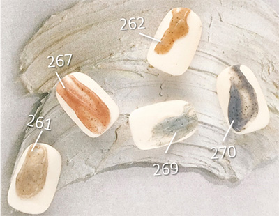 PRESTO カラージェル 262 2.7g