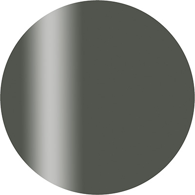 お取り寄せ CalGel カラーカルジェル プラス 2.5g S02BK アーバンブラック