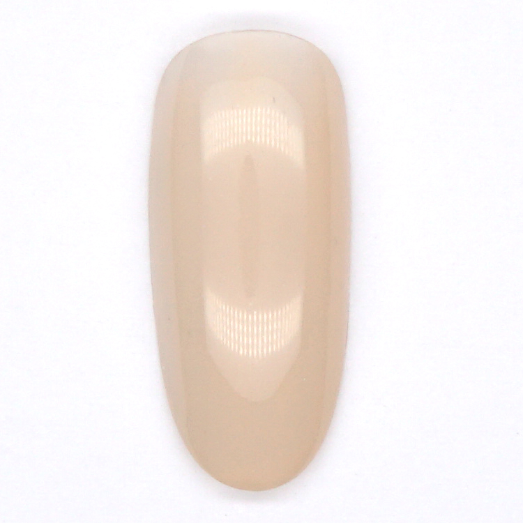 PRESTO アンリミテッドカラー BT005 2.7g