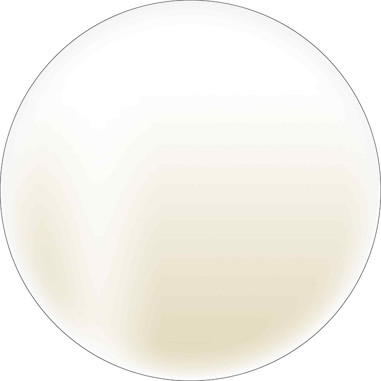 取扱終了 CalGel カラーカルジェルプラス 2.5g P03GD ゴールドシェル