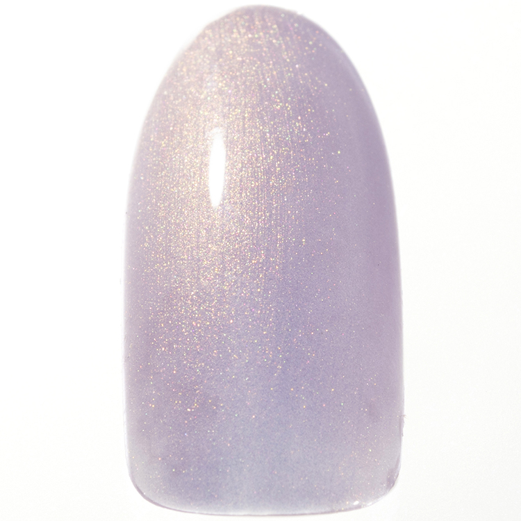 Dna Gel カラージェル 2.5g P08 ティッセル