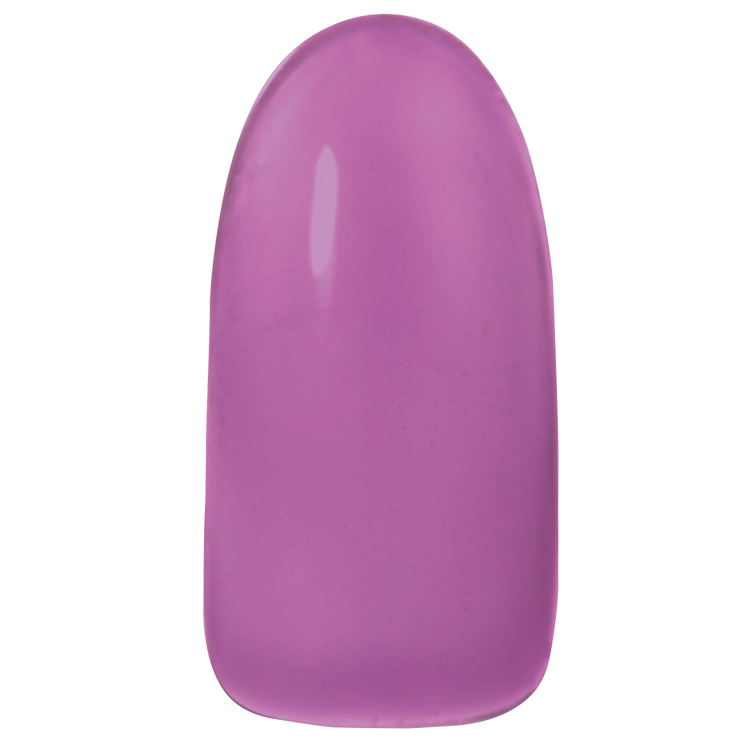 Dna Gel カラージェル 2.5g C10 アマラント