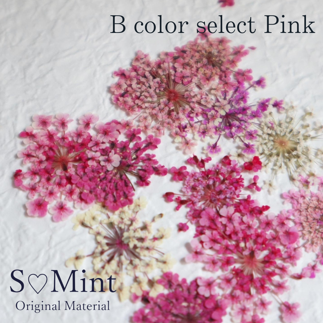 SMint Lace Flower Color Select Pink