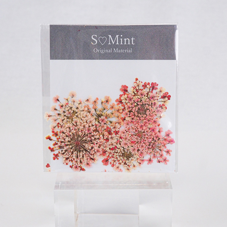 SMint Lace Flower Color Select Coral