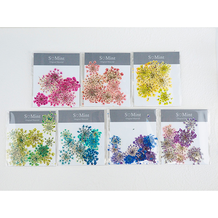 SMint Lace Flower Color Select Coral