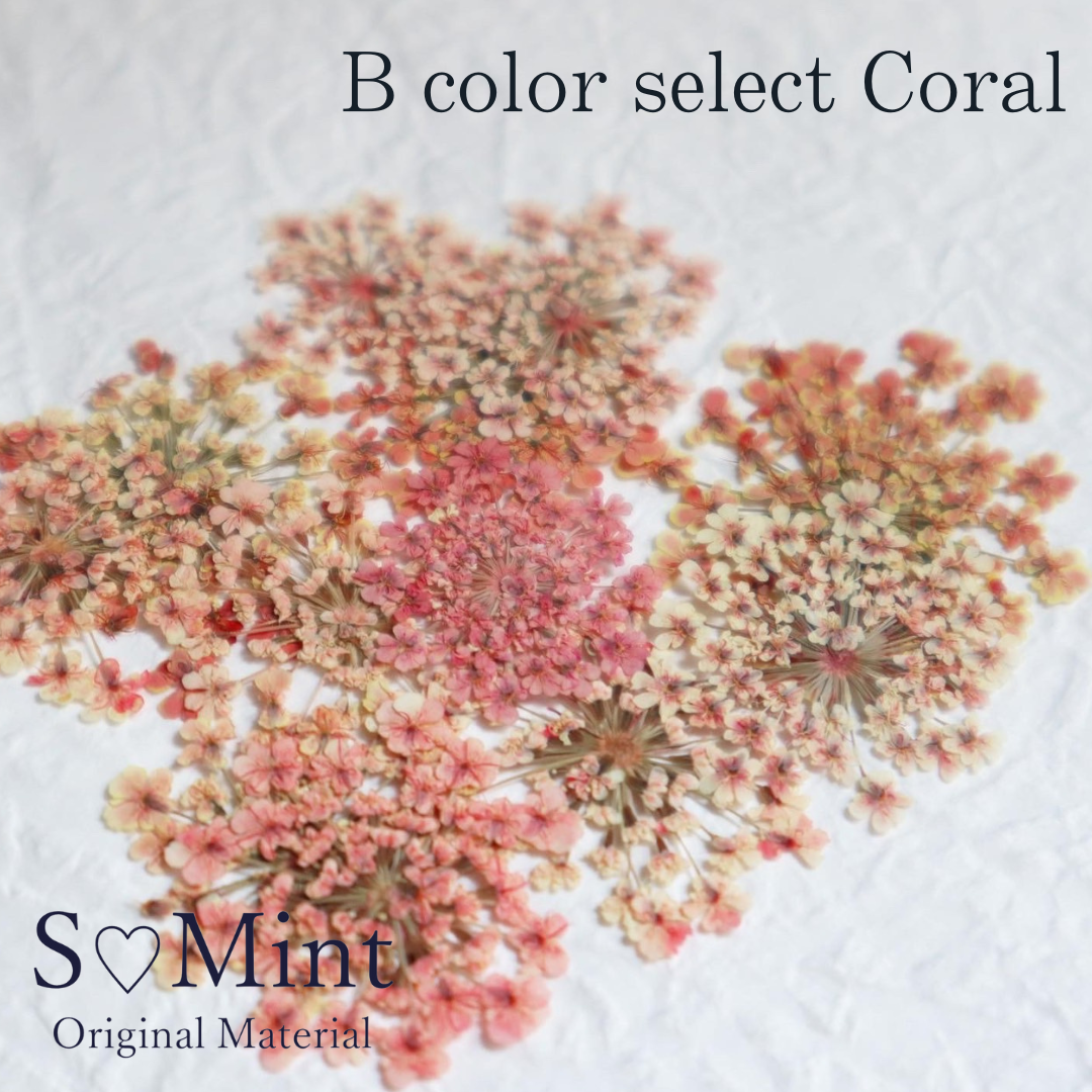 SMint Lace Flower Color Select Coral