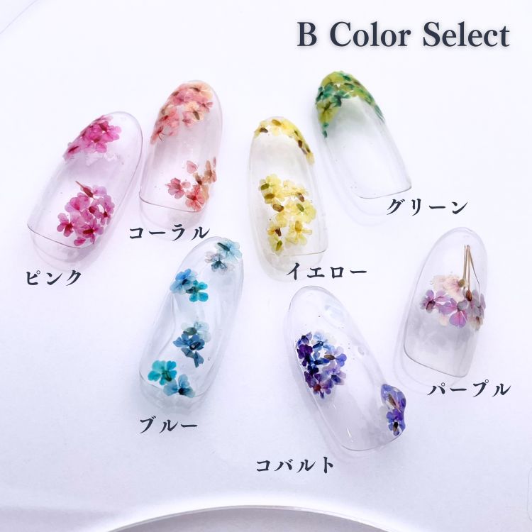 SMint Lace Flower Color Select Coral