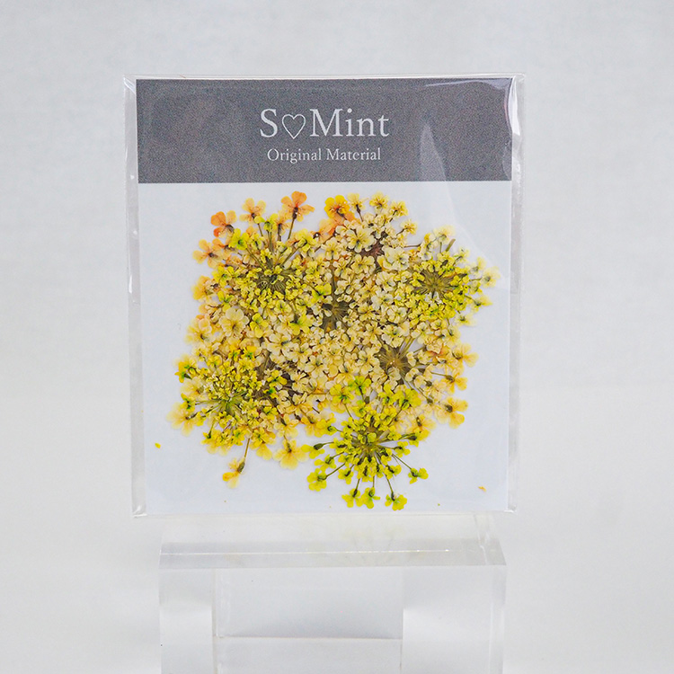 SMint Lace Flower Color Select Yellow