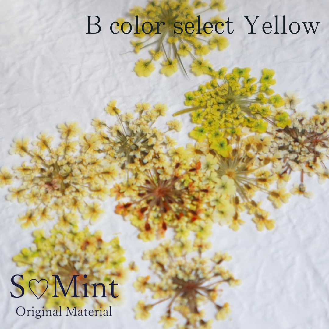 SMint Lace Flower Color Select Yellow
