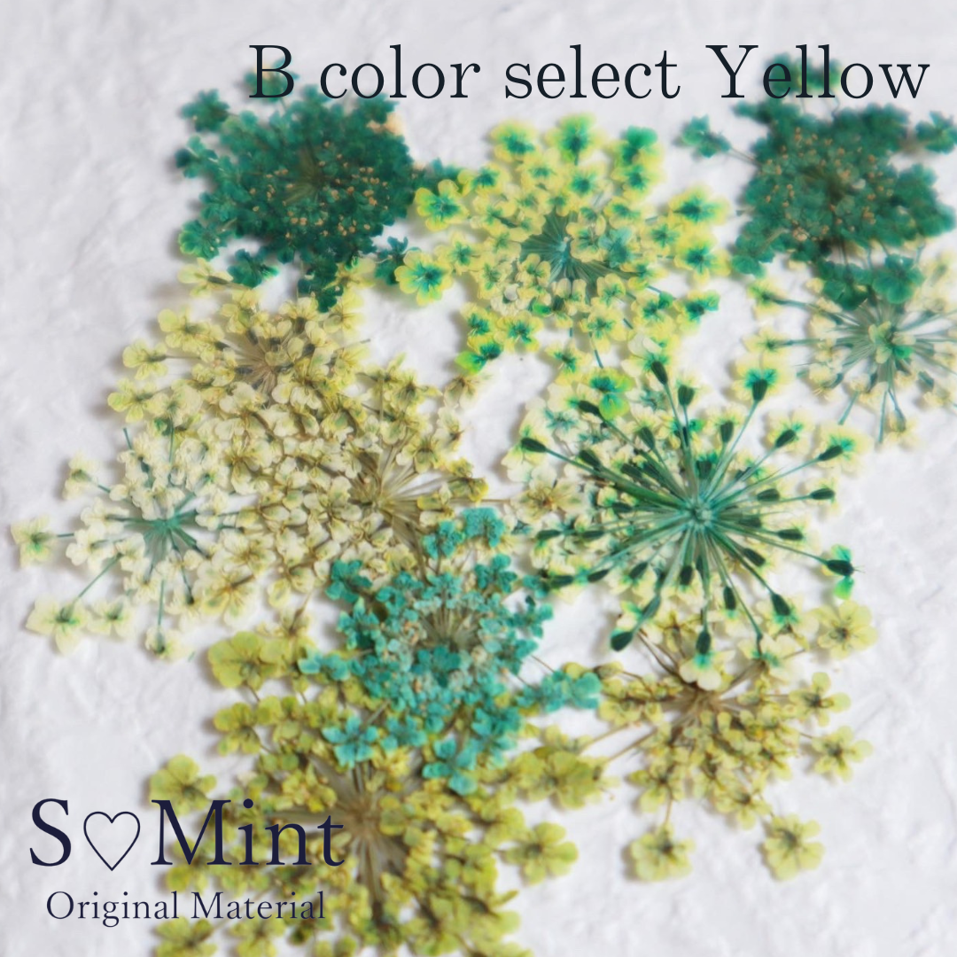 SMint Lace Flower Color Select Green