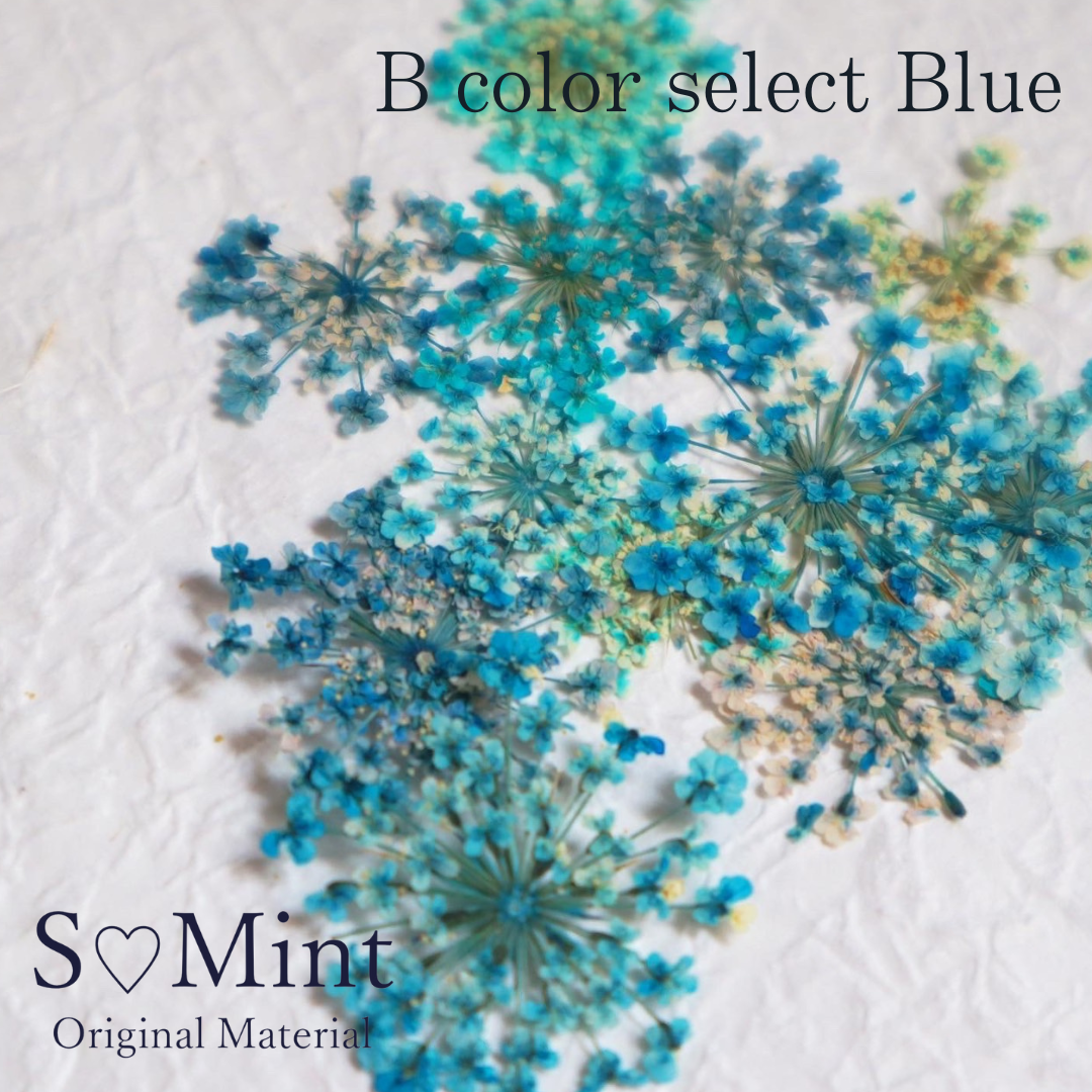 SMint Lace Flower Color Select Blue