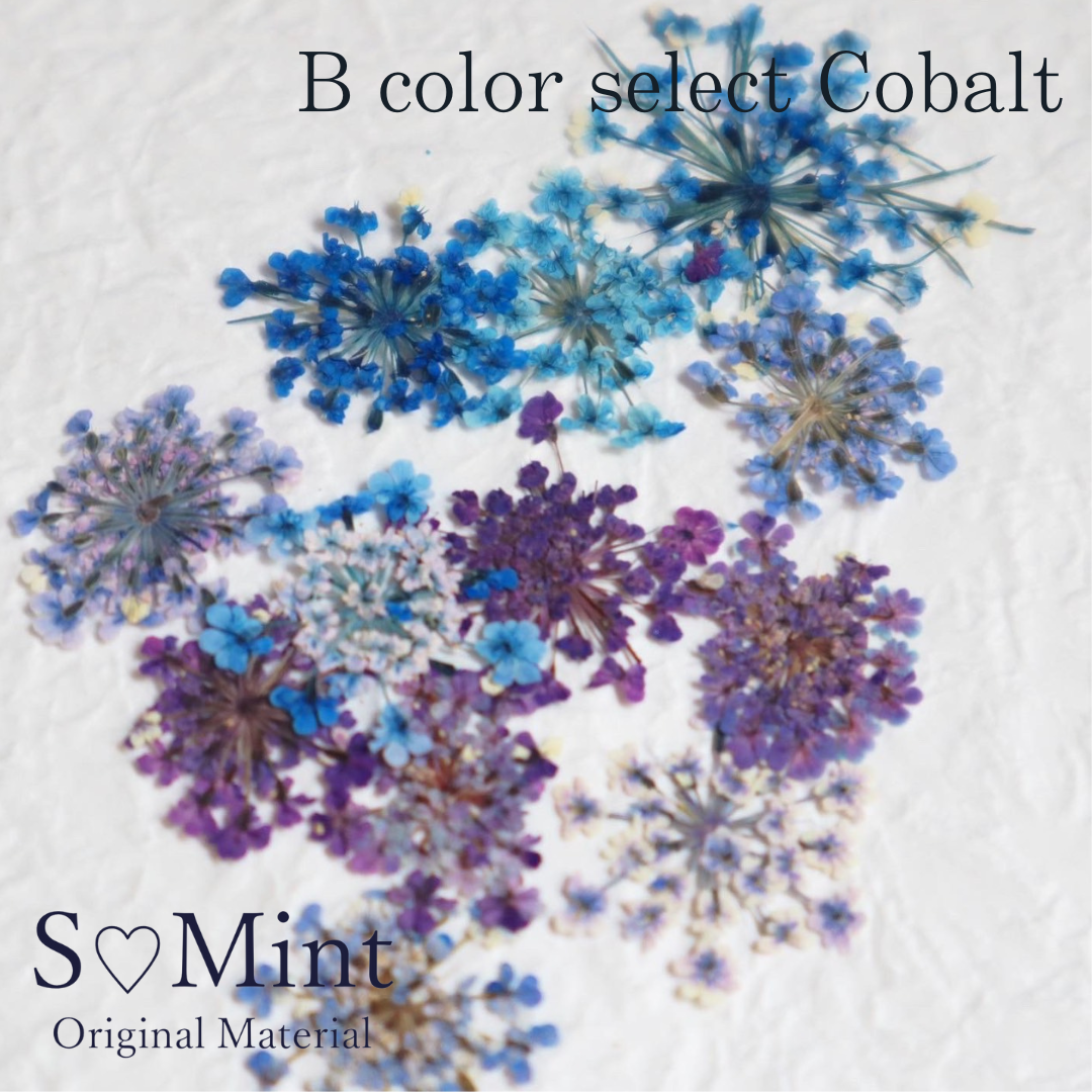 SMint Lace Flower Color Select Cobalt