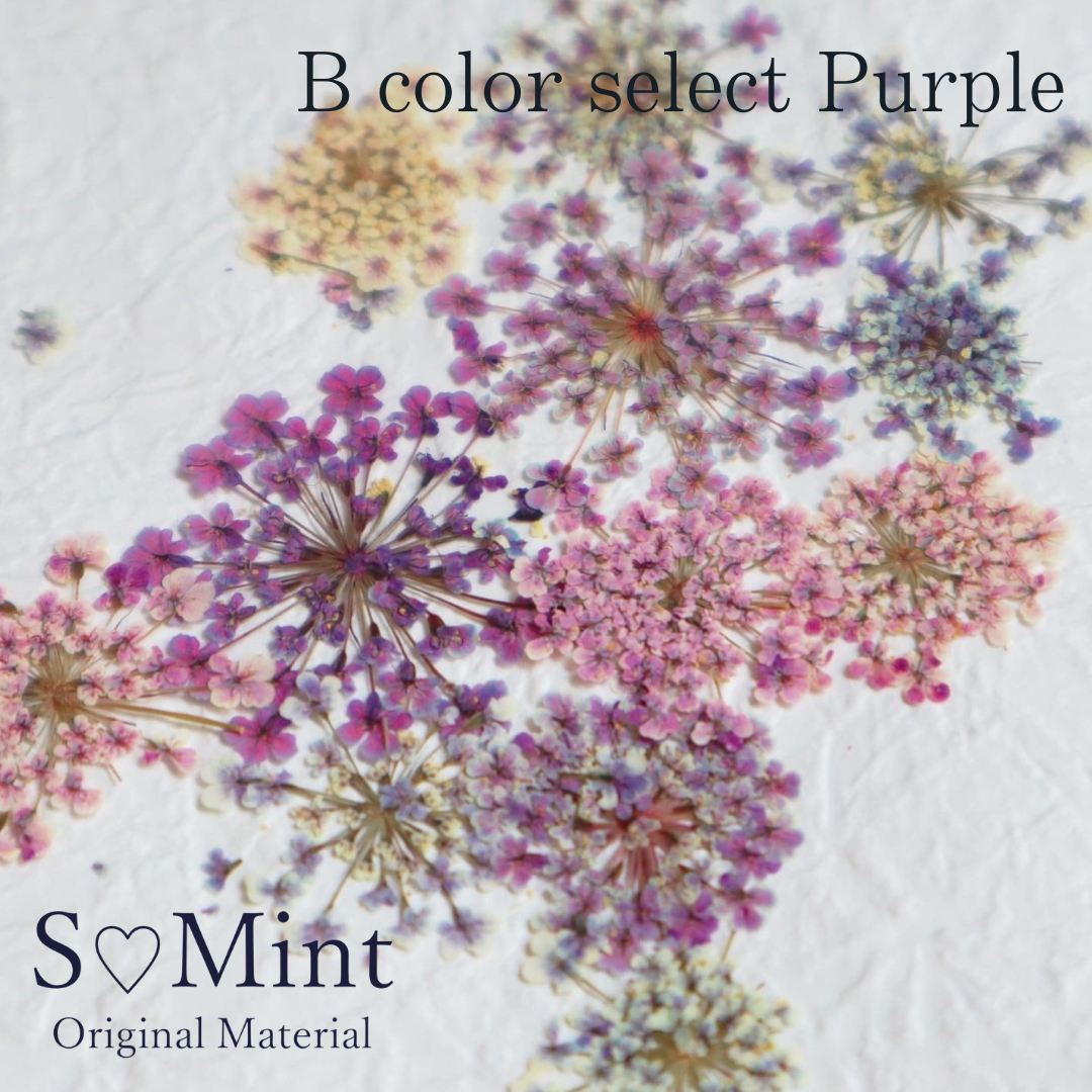 SMint Lace Flower Color Select Purple