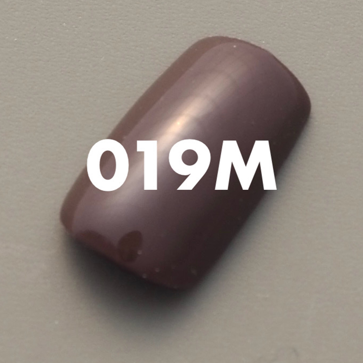 ANCLEF カラージェル 2.7g 019M