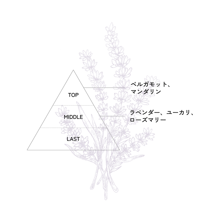 CON’CELECT + ナチュラルアロマディフューザー 100ml with me