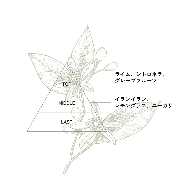 CON’CELECT + ナチュラルアロマディフューザー 100ml new me