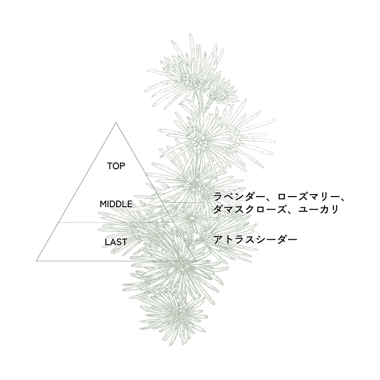 CON’CELECT + ナチュラルアロマディフューザー 100ml into you