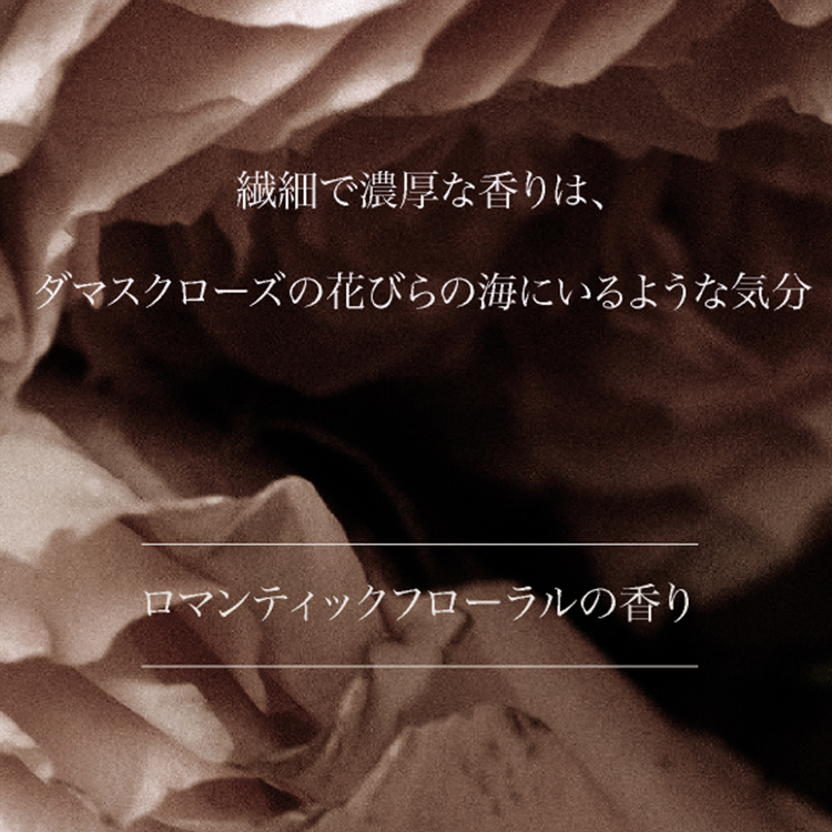 ARTiS di Voce ハイドレーティングエッセンス 100g 3303 DAWNING ROSE