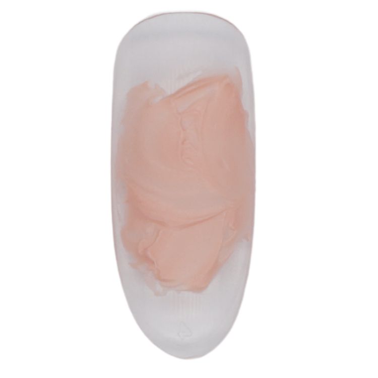 PRESTO パテジェル PT014 2.7g