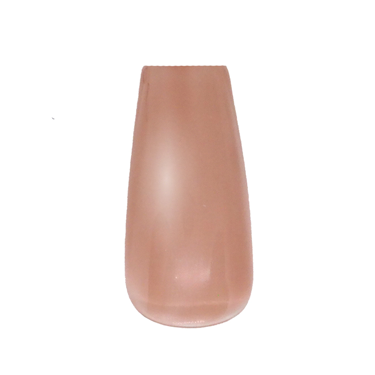 Dna Gel カラージェル 2.5g N30 ヒメシャラ