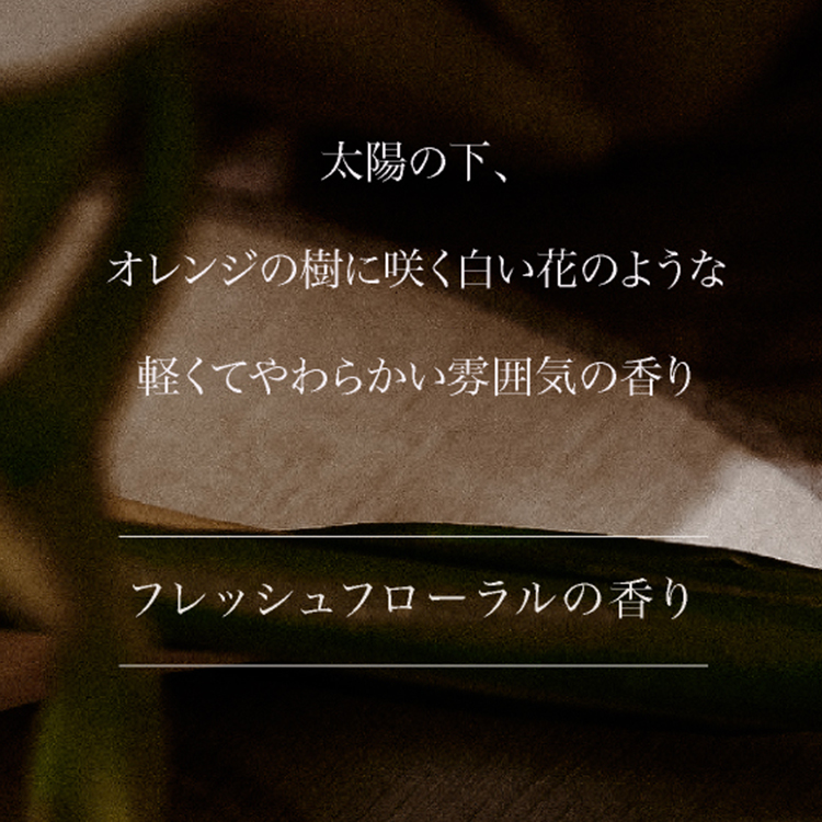 ARTiS di Voce ファブリックスプレー 10g 3301 DEW OF NEROLI