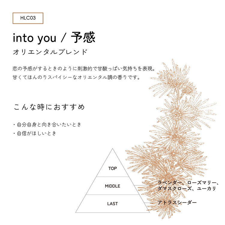 CON’CELECT + オーガニックネイルオイル 10ml into you