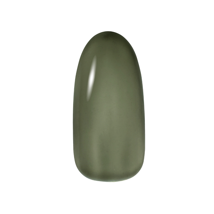 Dna Gel カラージェル 2.5g C19 マッチャ