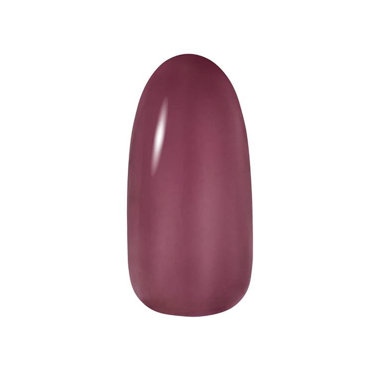 Dna Gel カラージェル 2.5g C21 ナカベニ