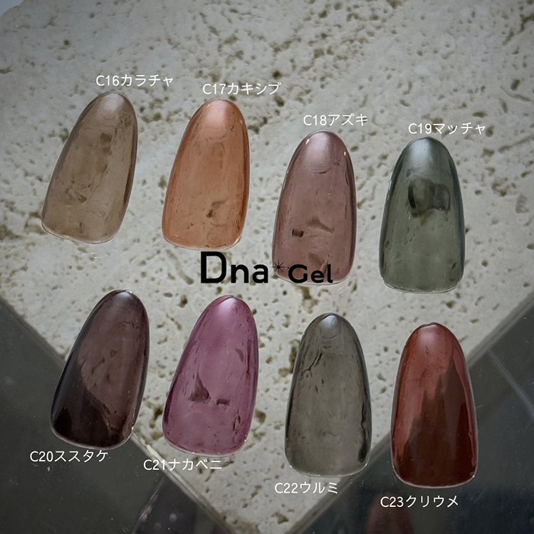 Dna Gel カラージェル 2.5g C21 ナカベニ