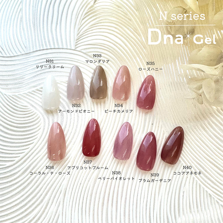 Dna Gel カラージェル 2.5g N33 マロンダリア