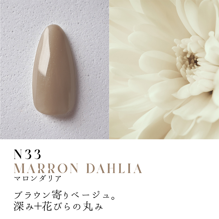 Dna Gel カラージェル 2.5g N33 マロンダリア