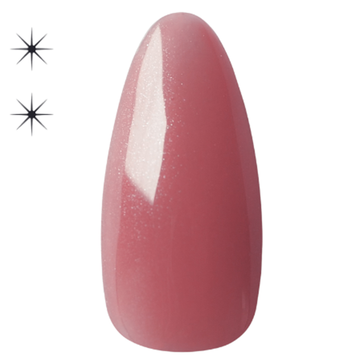 Dna Gel カラージェル 2.5g N35 ローズハニー