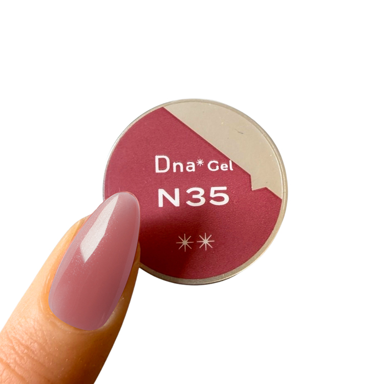 Dna Gel カラージェル 2.5g N35 ローズハニー