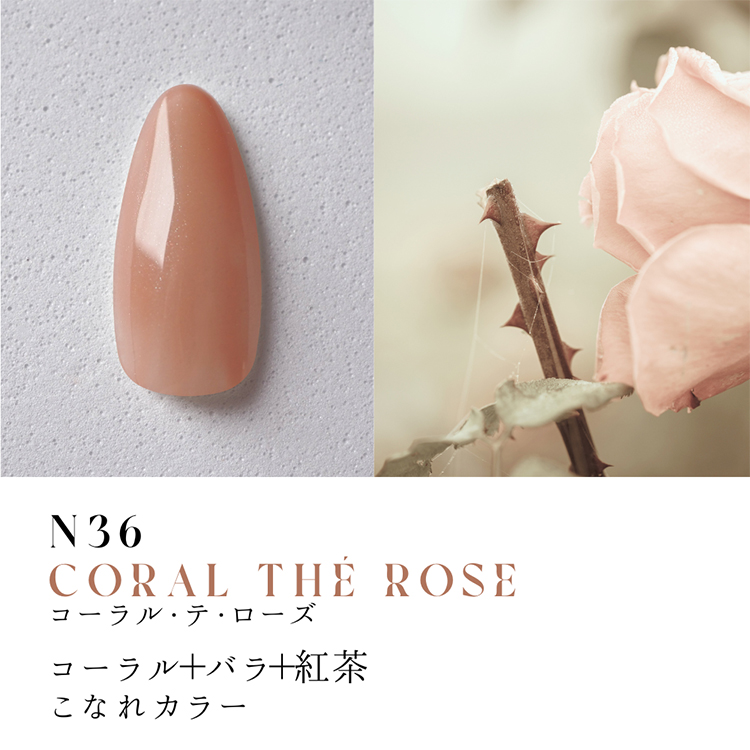 Dna Gel カラージェル 2.5g N36 コーラル・テ・ローズ