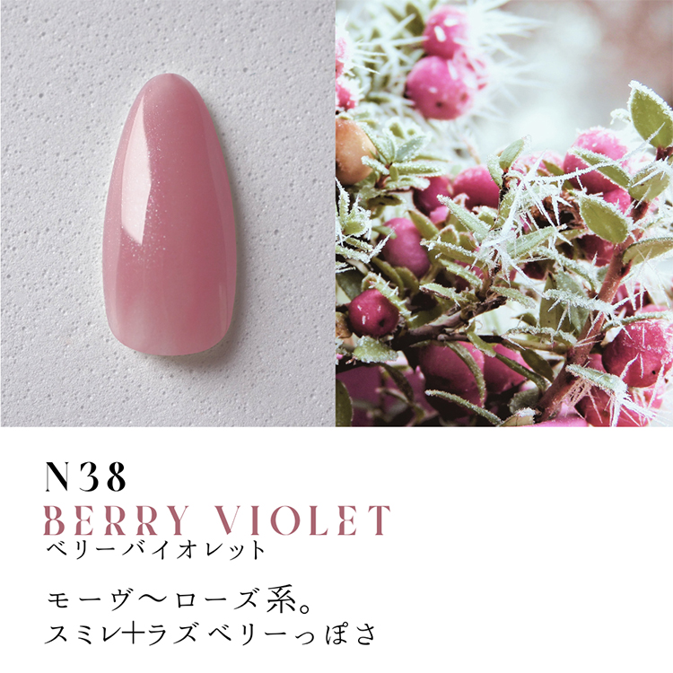 Dna Gel カラージェル 2.5g N38 ベリーバイオレット