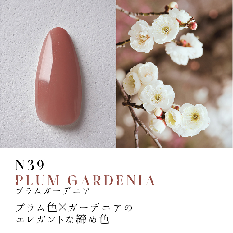 Dna Gel カラージェル 2.5g N39 プラムガーデニア