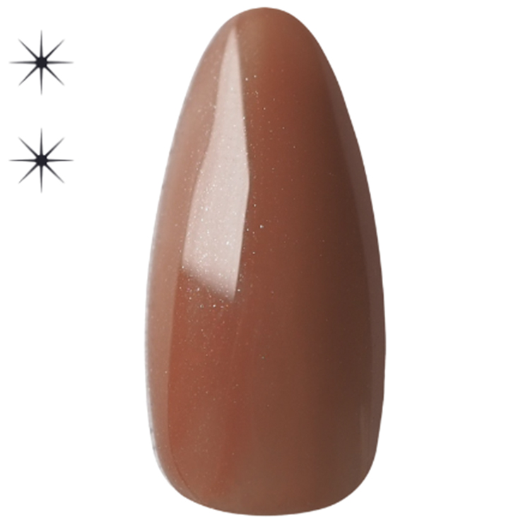 Dna Gel カラージェル 2.5g N40 ココアアネモネ
