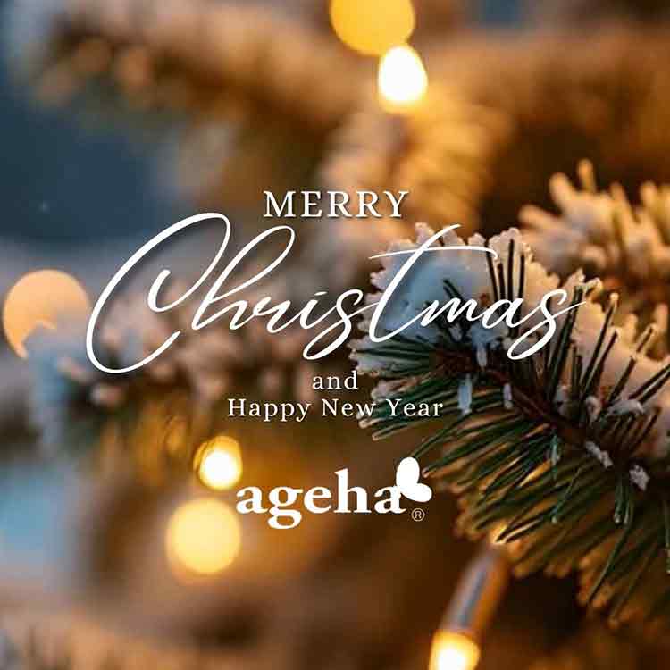 限定 ageha クリスマス2025限定セット