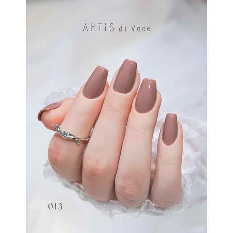 ARTiS di Voce ブラッシュオンカラージェル 8g 013