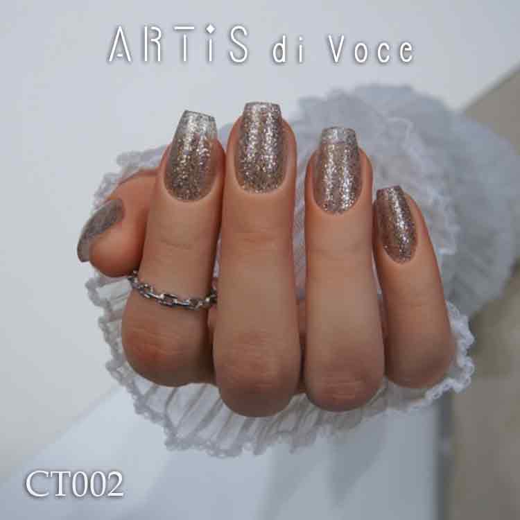 ARTiS di Voce ブラッシュオンカラージェル 8g CT002