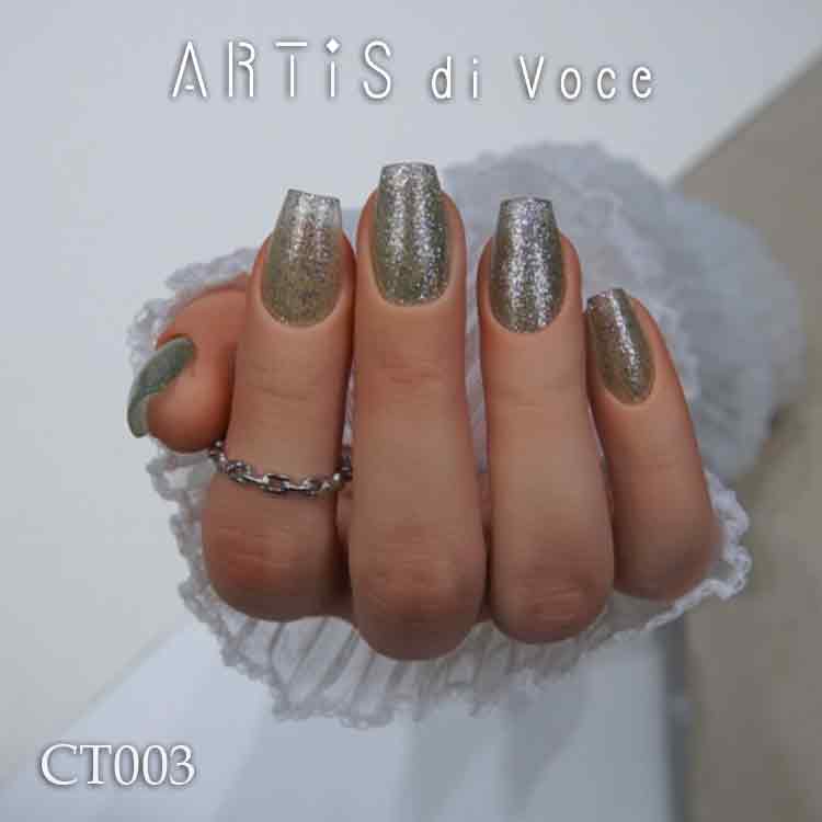ARTiS di Voce ブラッシュオンカラージェル 8g CT003