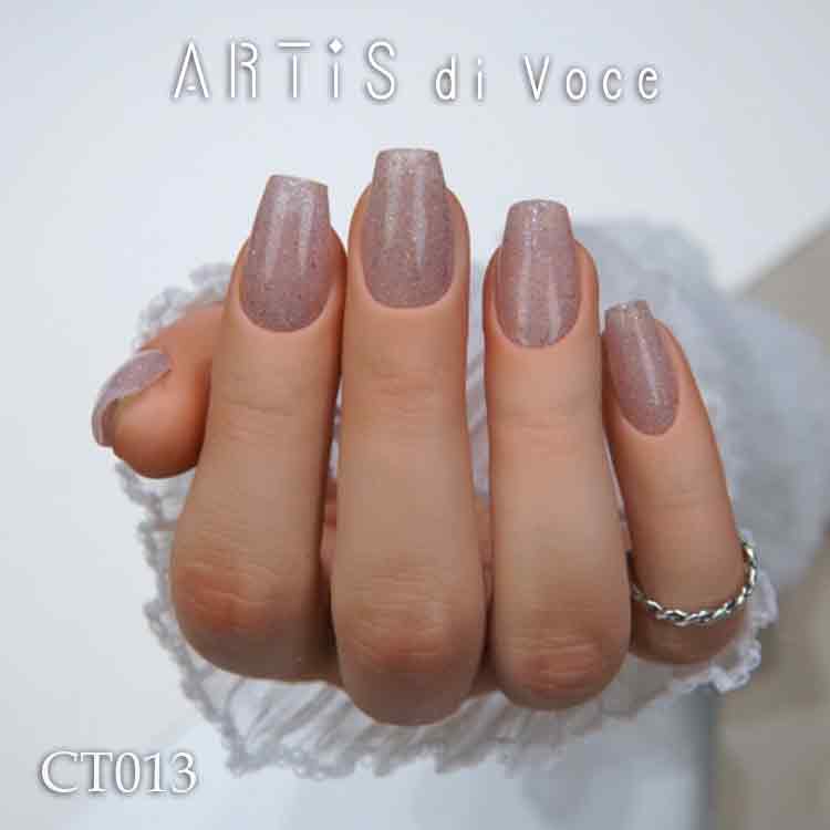 ARTiS di Voce ブラッシュオンカラージェル 8g CT013