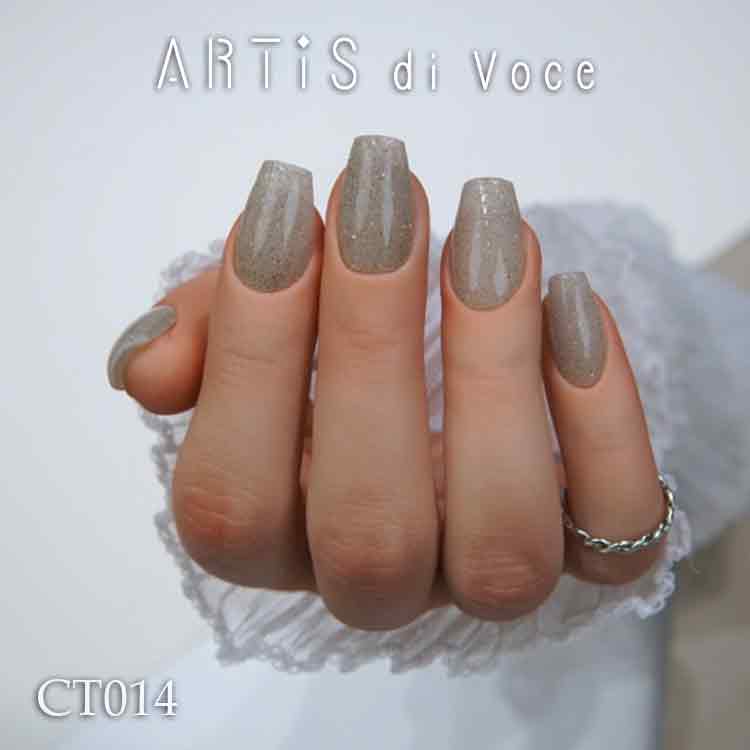 ARTiS di Voce ブラッシュオンカラージェル 8g CT014
